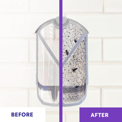 Zevo Flying Insect Trap for Indoors: Light Trap Captures Fruit Flies, Gnats and Houseflies, Starter Kit + Refills (1 Plug-in Base + 3 Cartridges)
