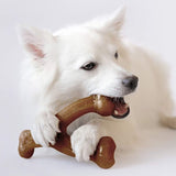 Wishbone Durable Dog Chew Toy