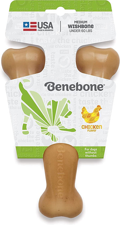 Wishbone Durable Dog Chew Toy