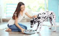 Dogs Food Puzzle Feeder Toy