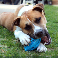 Rubber Puppy Chew Ball